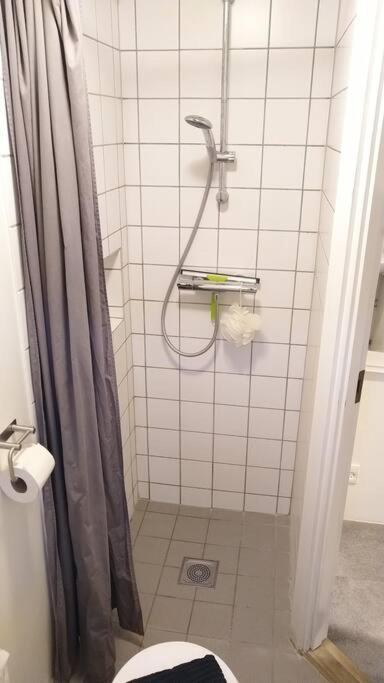 House I The Back House - Free Parking And Coziness Appartement Odense